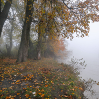 Над рекою ...