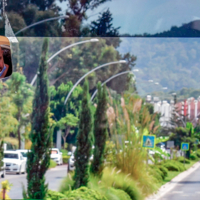 Водитель и его дорога