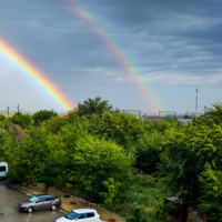 После дождя