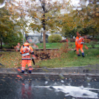 Раздувающие осень