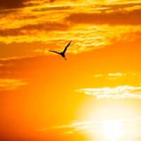 Закатный минимализм