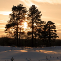 Зимняя красота.