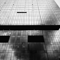 Тень дерева в пространстве стёкол