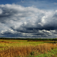 Скоро осень