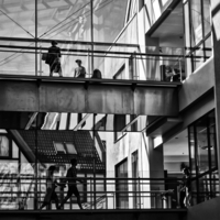 Городская неразбериха