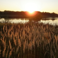 И когда утих ветер...