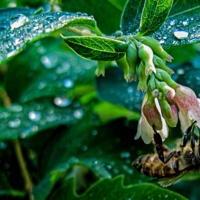 После дождя