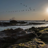 Настала пора возвращаться домой...