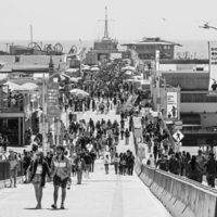 В разгар сезона