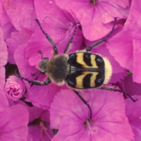 Мне хорошо!