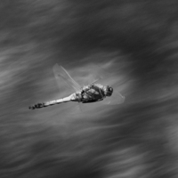 Турбулентность