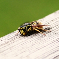 В минуты отдыха