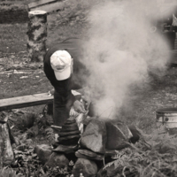 Сырые дровишки