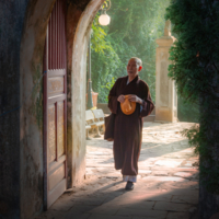 Возвращение в обитель...