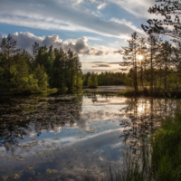 Вечерний звон..