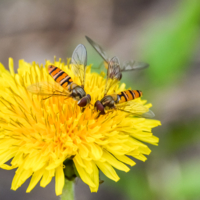 На солнечной поляночке