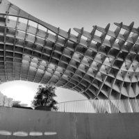 Грибы Севильи.