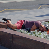 Заснул в цветах