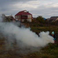 Хозяйственная соседка