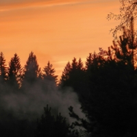 На закате дня