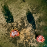 Мелководье