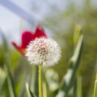 В новую жизнь