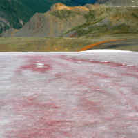 горячий снег, кровавый снег