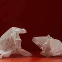 Дракон и собака