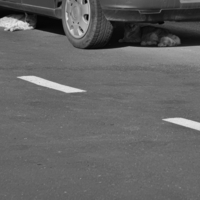 Третий не лишний