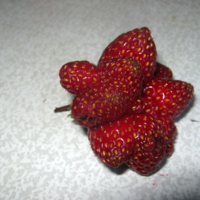 Странная клубничка