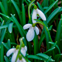 Начало всех начал