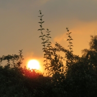 Солнце встаёт!!!