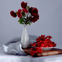 Калиновые бусины