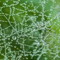 Перекличка