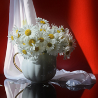 Любит, не любит