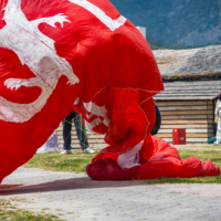 Белый дракон