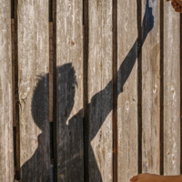 Забор тёти Полли