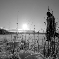 Мороз и солнце..