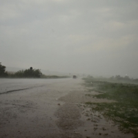 Погода - тоска