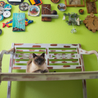 На том же месте, в тот же час