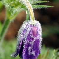 Тяжело с утра