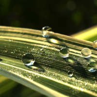 Идеальная форма