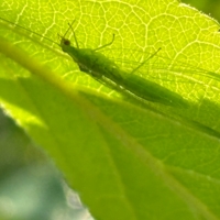 Под защитой