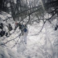 В любую погоду