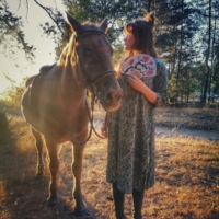 Вечерним солнцем