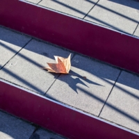 Сбитый ритм