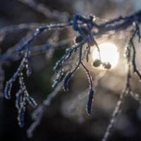 Холодный этюд