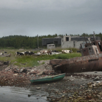 Я мечтала о морях и кораллах...