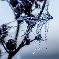 На краю тумана