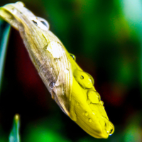 Третьего апреля